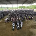 Leilão de Motos com Desconto de 50% na FIPE